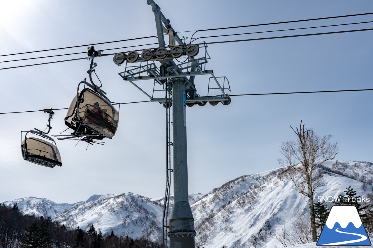 キロロリゾート｜今日の山頂積雪は「340cm」！ビシッと締まったロングコースで快適クルージングが楽しい１日♪